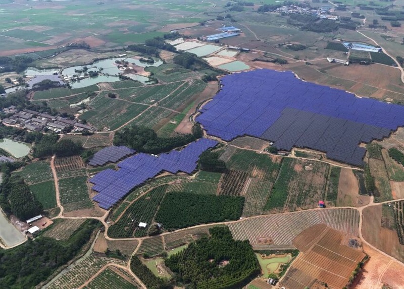 广西工程咨询集团助力产业绿色发展